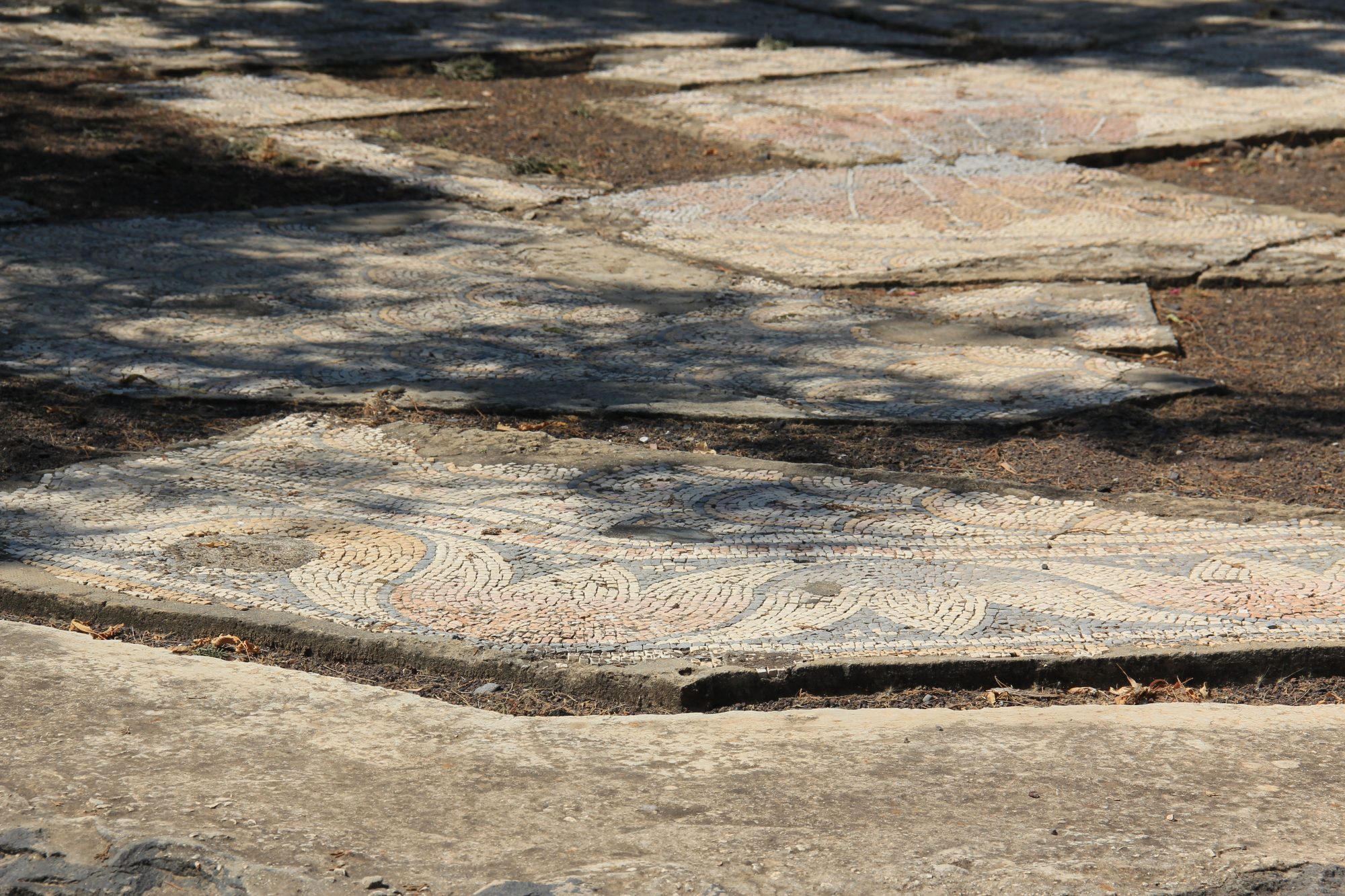 Capharnaum 62